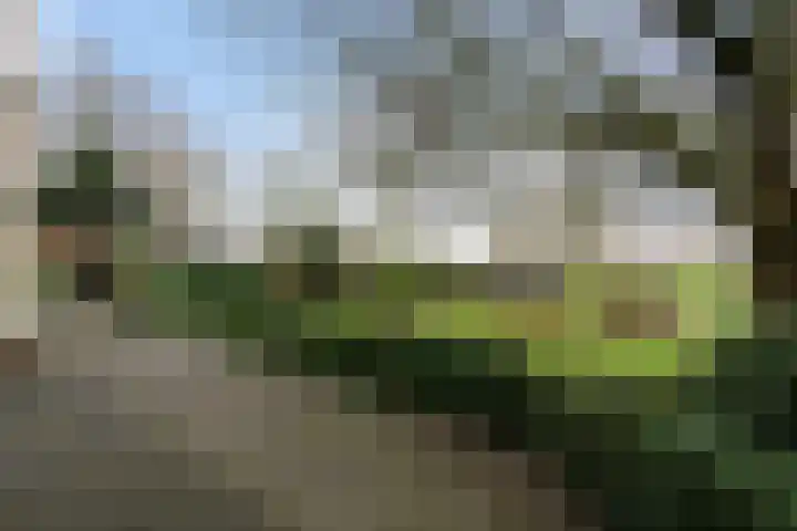 Roskam 20 Hasselt thumbnail 34
