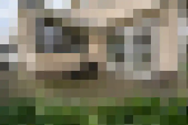 Roskam 20 Hasselt thumbnail 36