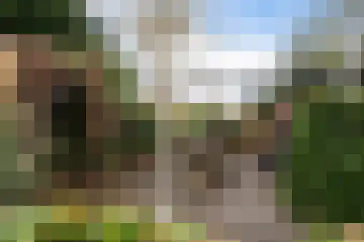 Roskam 20 Hasselt thumbnail 38