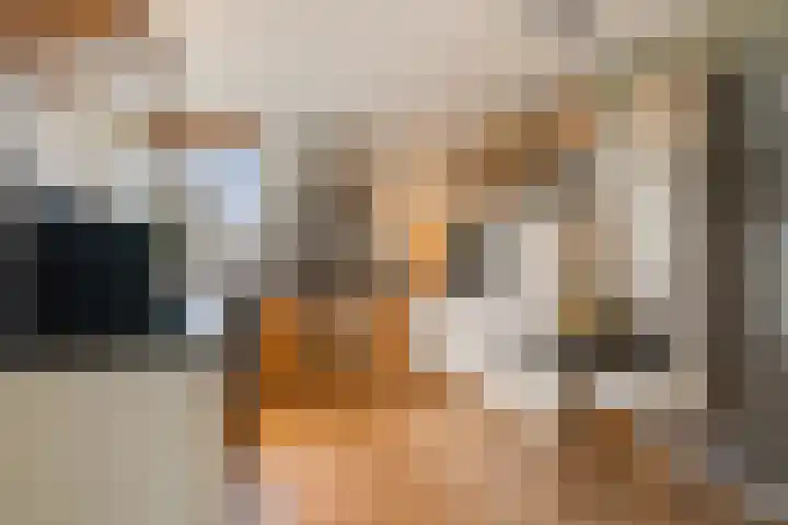 Roskam 20 Hasselt thumbnail 4