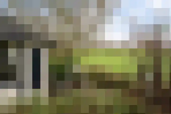 Roskam 20 Hasselt thumbnail 40