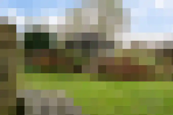 Roskam 20 Hasselt thumbnail 41