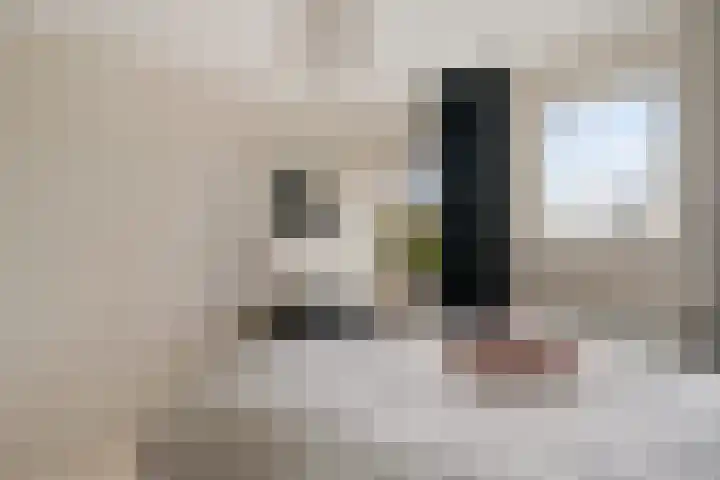 Roskam 20 Hasselt thumbnail 44