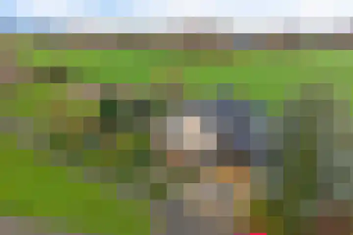 Roskam 20 Hasselt thumbnail 5