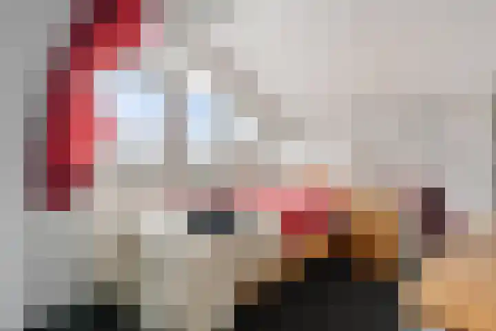 Roskam 20 Hasselt thumbnail 55