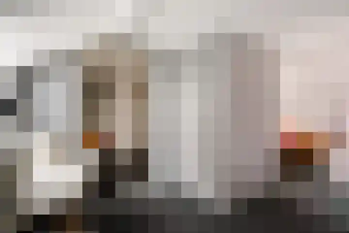 Roskam 20 Hasselt thumbnail 58