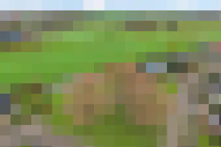 Roskam 20 Hasselt thumbnail 6