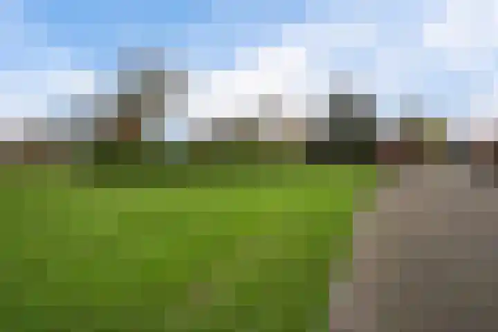 Roskam 20 Hasselt thumbnail 8