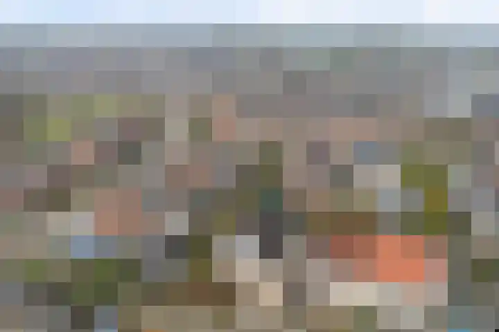 Roskam 23 Hasselt thumbnail 10