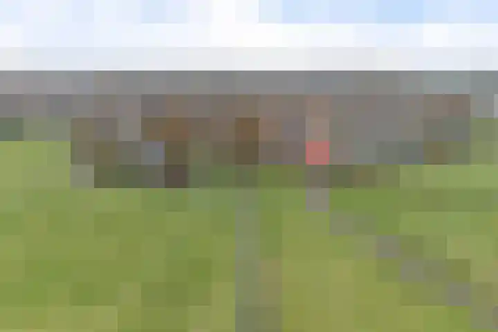 Roskam 23 Hasselt thumbnail 12