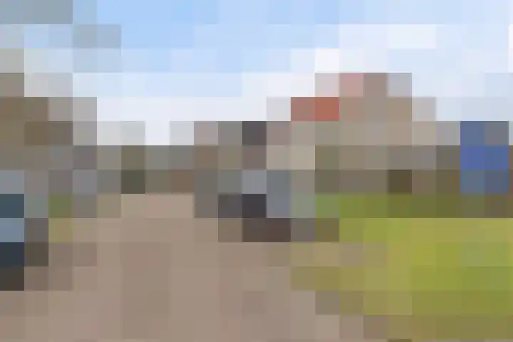 Roskam 23 Hasselt thumbnail 13