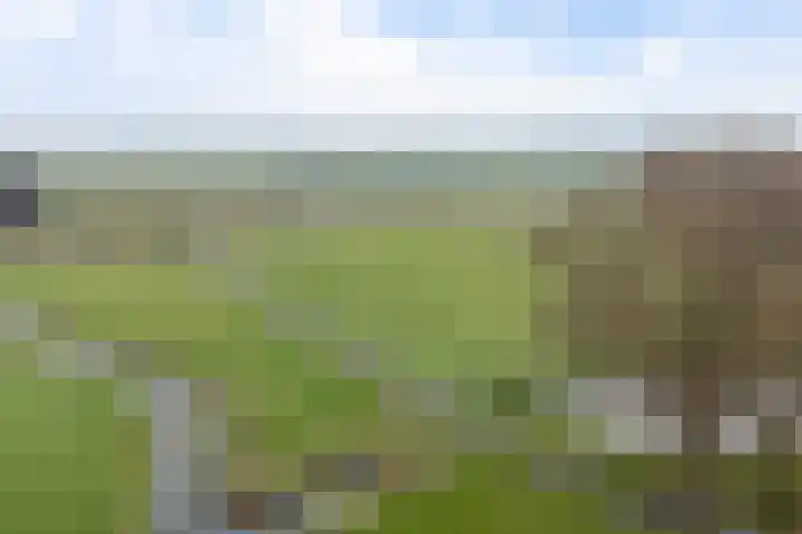 Roskam 23 Hasselt thumbnail 14