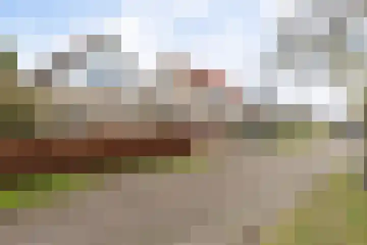 Roskam 23 Hasselt thumbnail 15