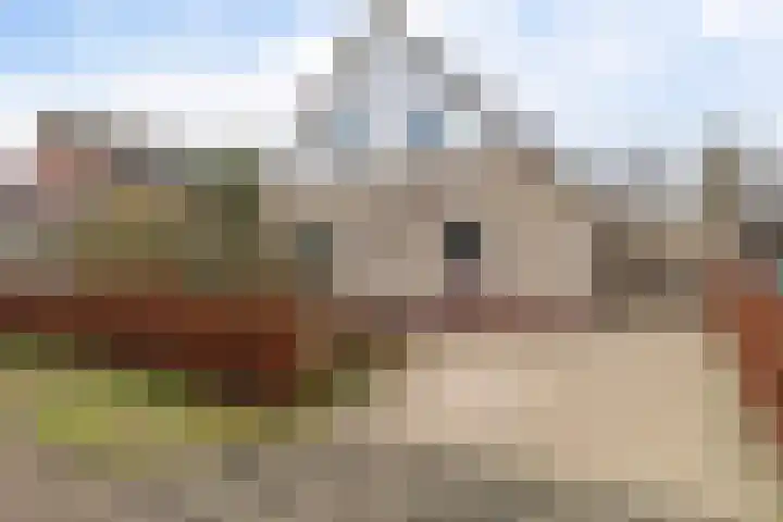 Roskam 23 Hasselt thumbnail 16