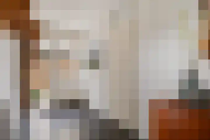 Roskam 23 Hasselt thumbnail 20