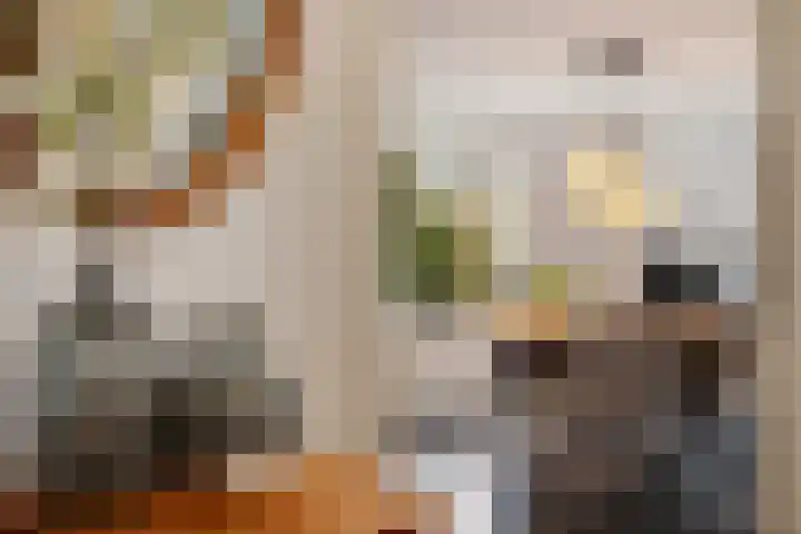 Roskam 23 Hasselt thumbnail 21