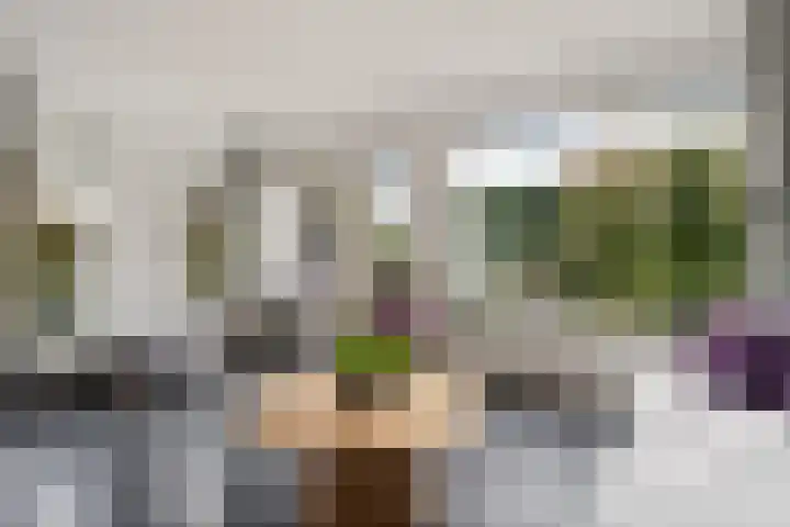 Roskam 23 Hasselt thumbnail 23