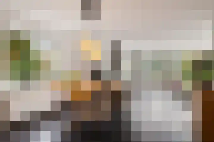 Roskam 23 Hasselt thumbnail 25