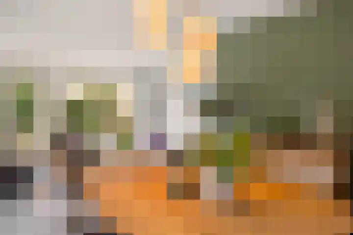 Roskam 23 Hasselt thumbnail 26