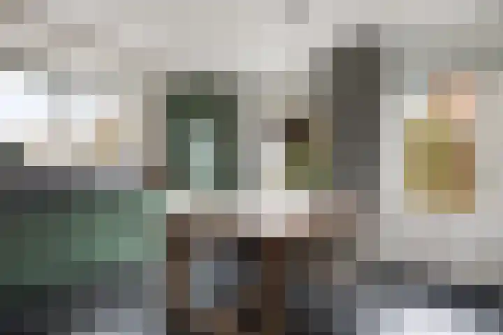 Roskam 23 Hasselt thumbnail 30