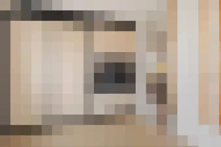 Roskam 23 Hasselt thumbnail 33