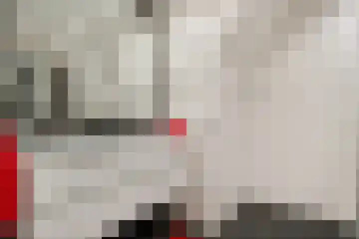Roskam 23 Hasselt thumbnail 37