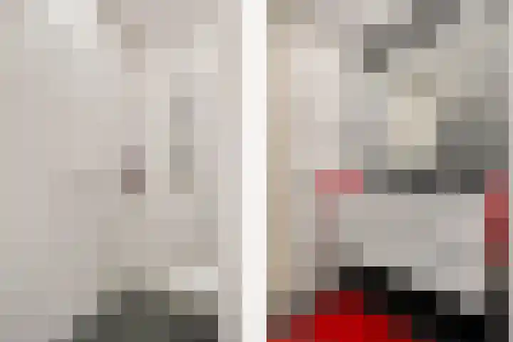 Roskam 23 Hasselt thumbnail 38