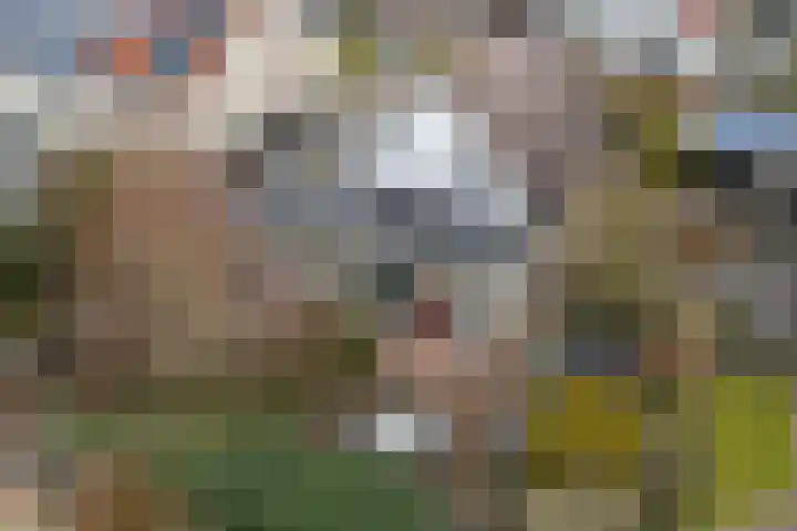 Roskam 23 Hasselt thumbnail 39