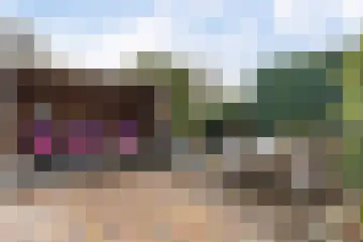 Roskam 23 Hasselt thumbnail 41