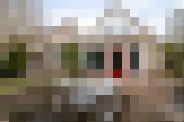 Roskam 23 Hasselt thumbnail 42