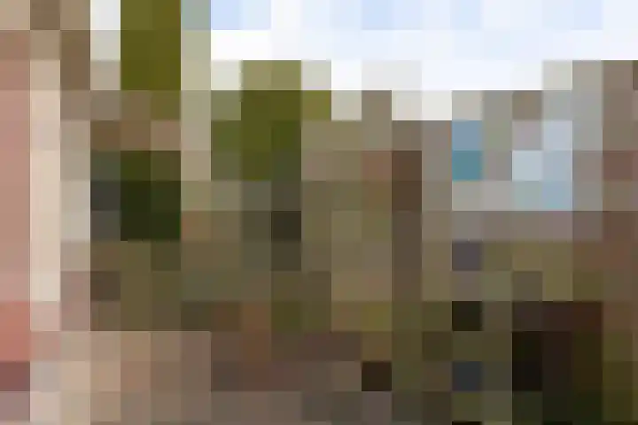 Roskam 23 Hasselt thumbnail 44