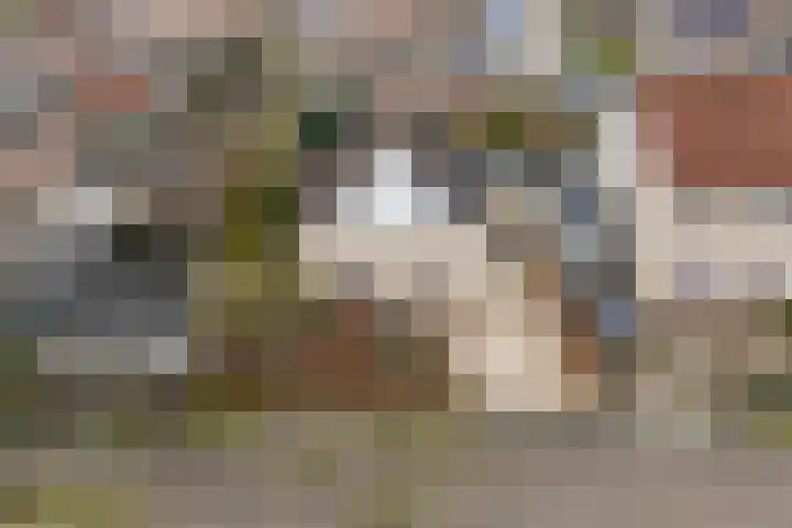 Roskam 23 Hasselt thumbnail 5