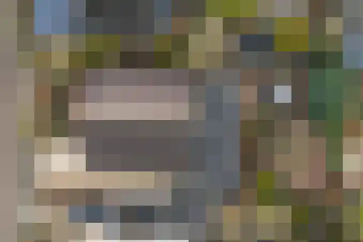 Roskam 23 Hasselt thumbnail 7