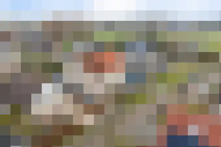 Roskam 23 Hasselt thumbnail 9