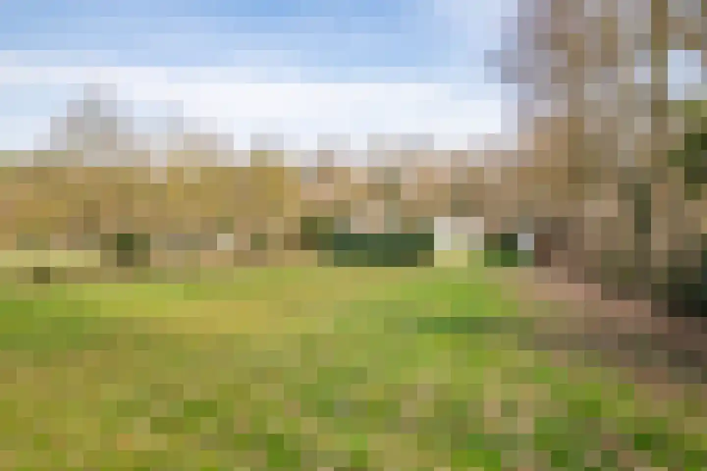 Roskam 6 Sint Odiliënberg thumbnail 13