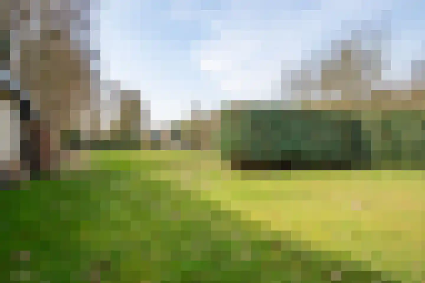 Roskam 6 Sint Odiliënberg thumbnail 15