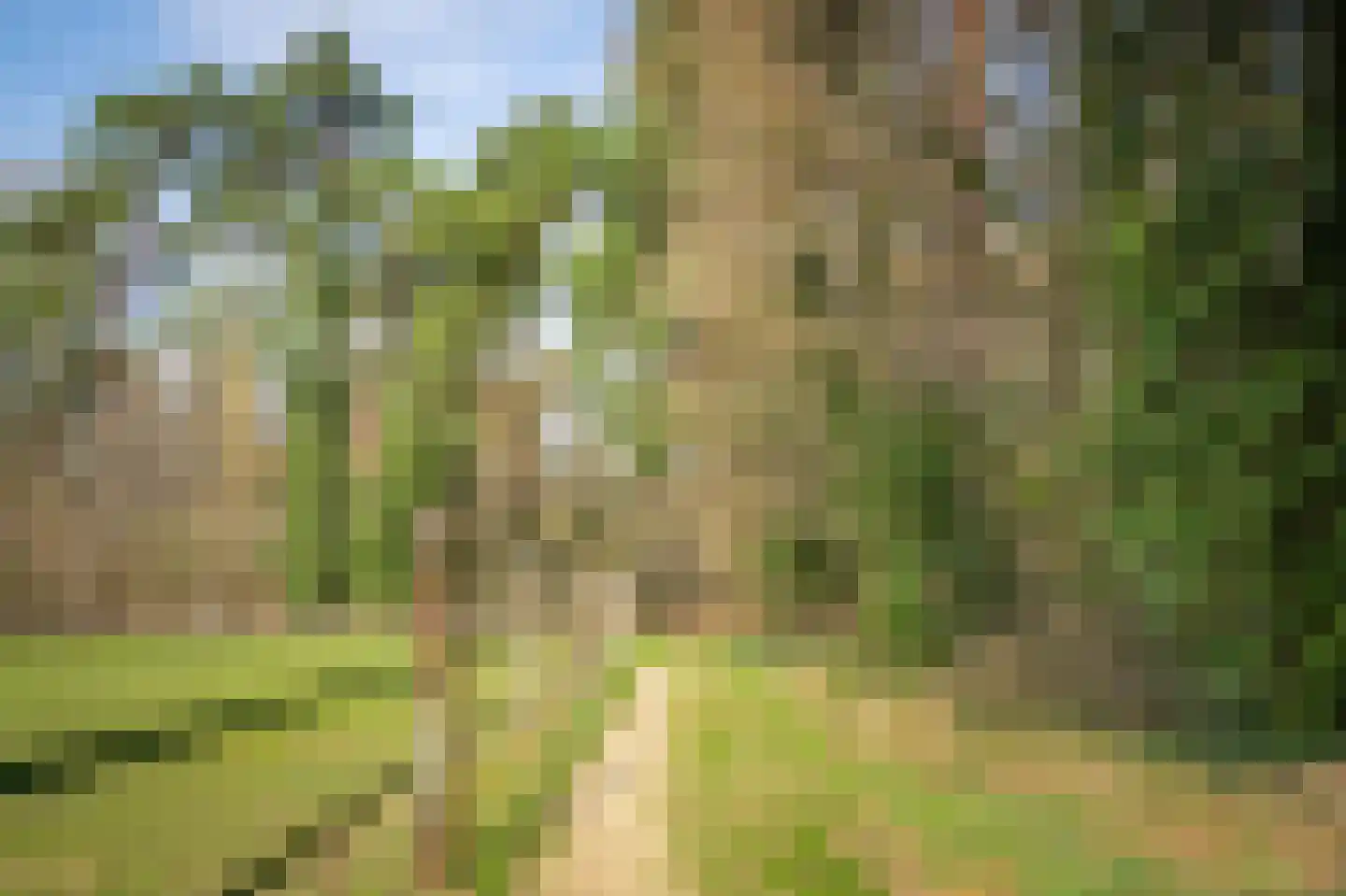 Roskam 6 Sint Odiliënberg thumbnail 17