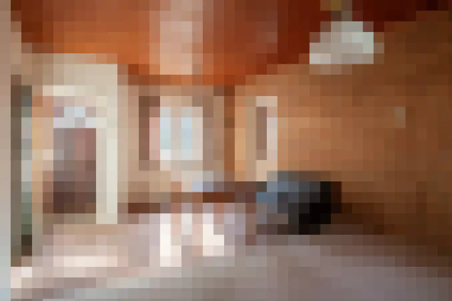 Roskam 6 Sint Odiliënberg thumbnail 23