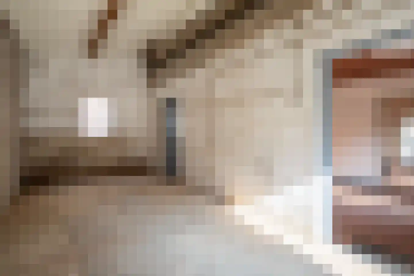 Roskam 6 Sint Odiliënberg thumbnail 31