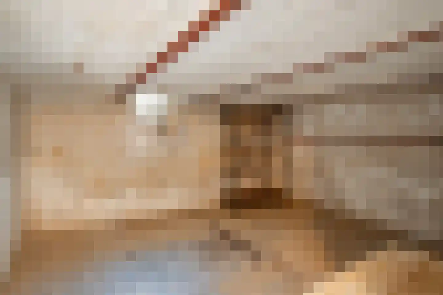 Roskam 6 Sint Odiliënberg thumbnail 32