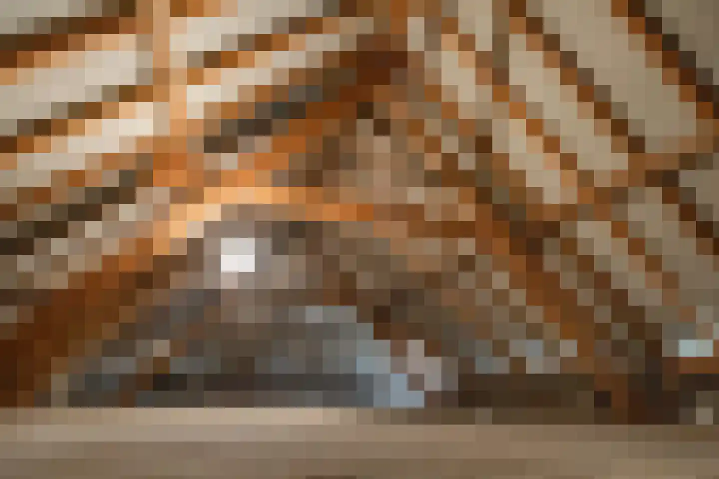 Roskam 6 Sint Odiliënberg thumbnail 33