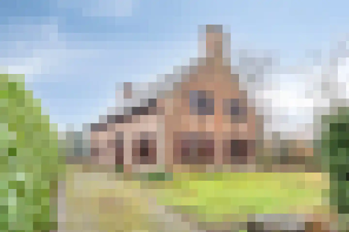 Roskammersteeg 3 en Lunteren