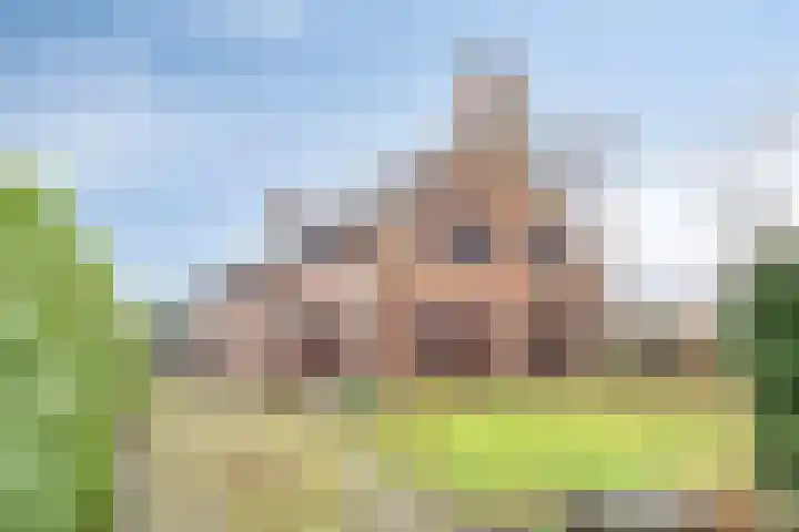 Roskammersteeg 3 in Lunteren