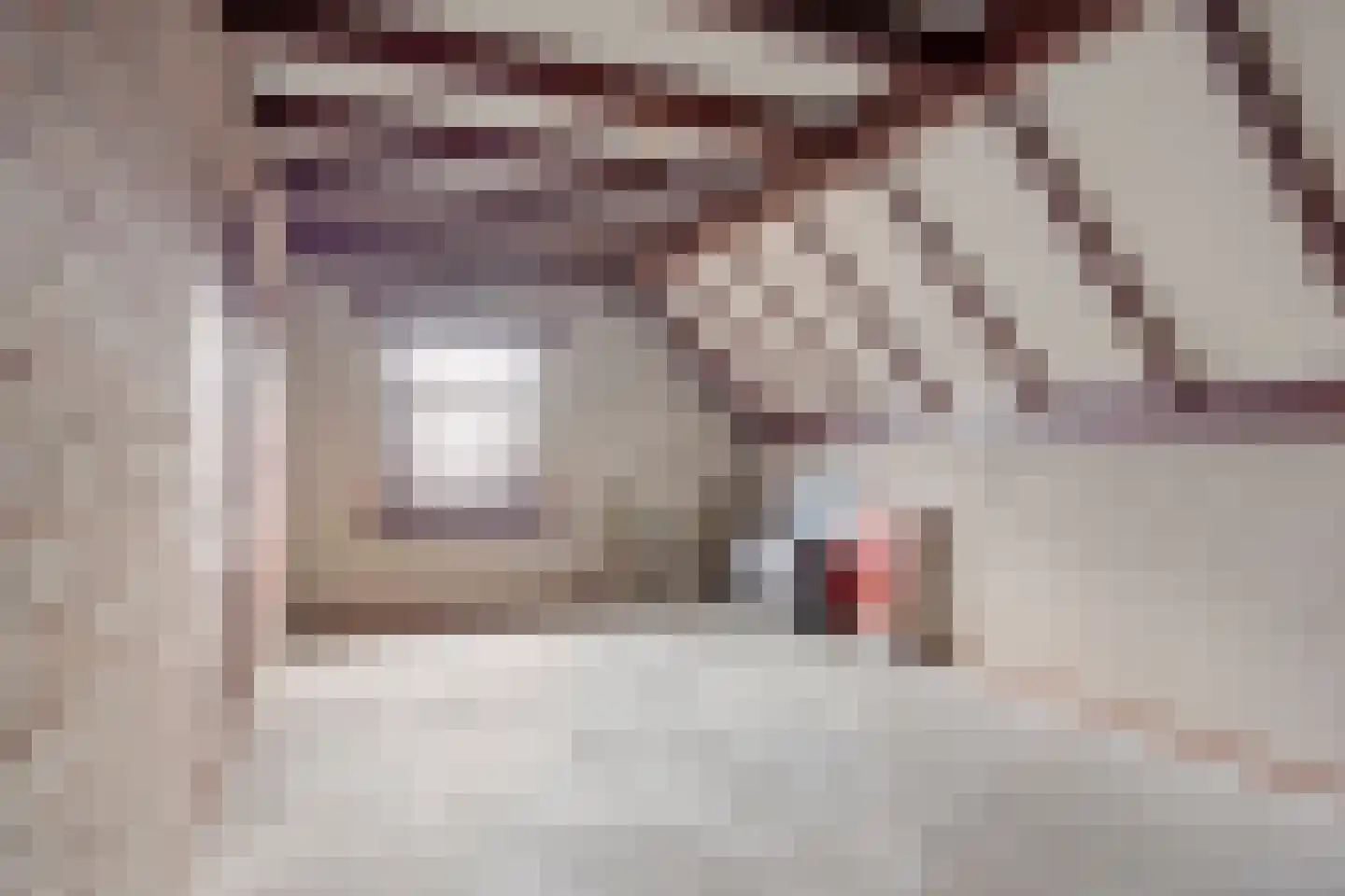 Roskammersteeg 3 Lunteren thumbnail 22