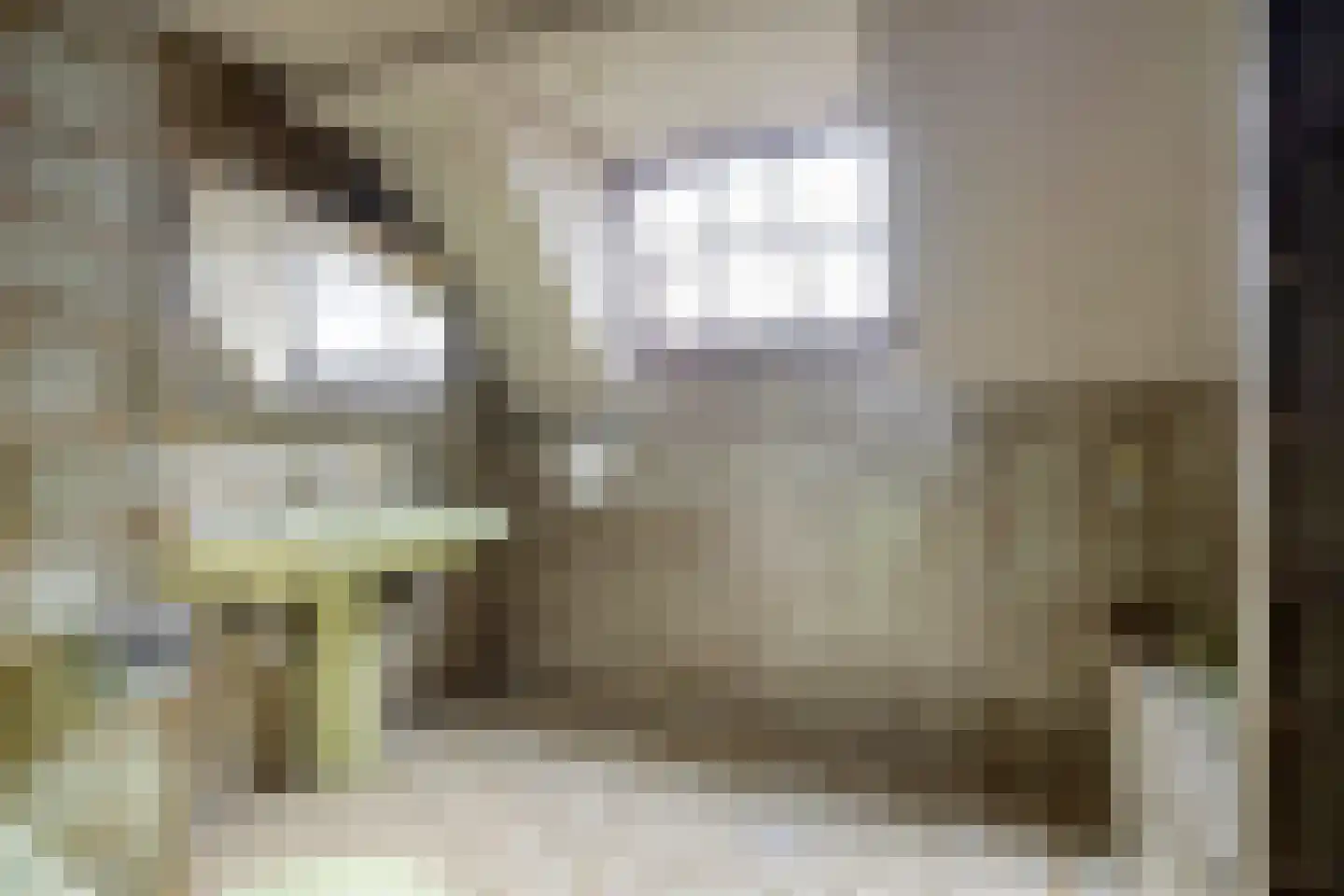Roskammersteeg 3 Lunteren thumbnail 24