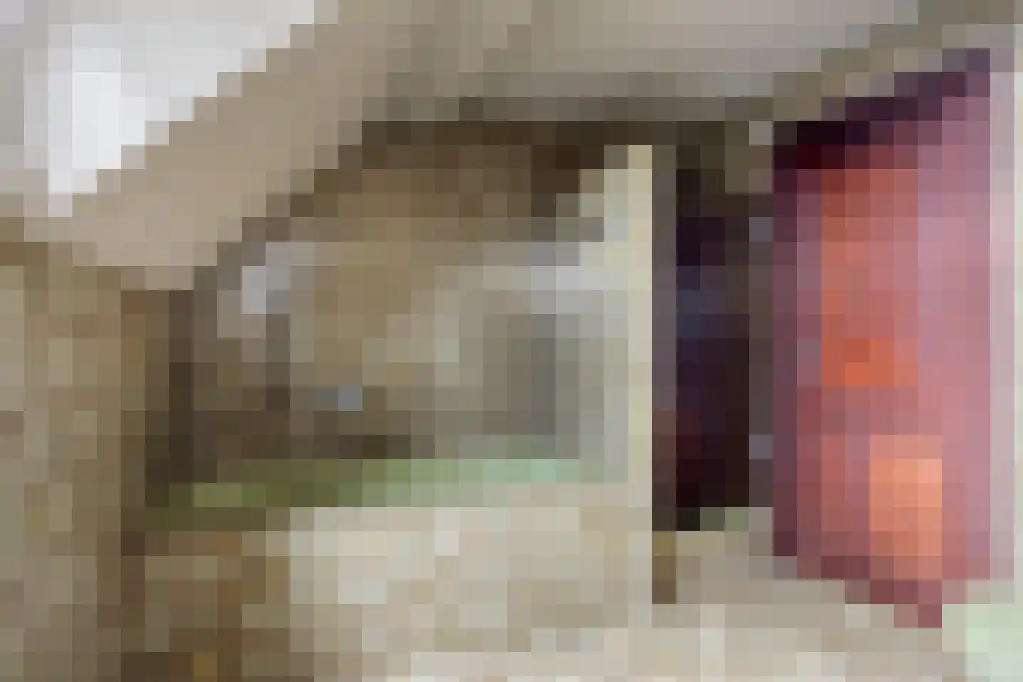 Roskammersteeg 3 Lunteren thumbnail 25