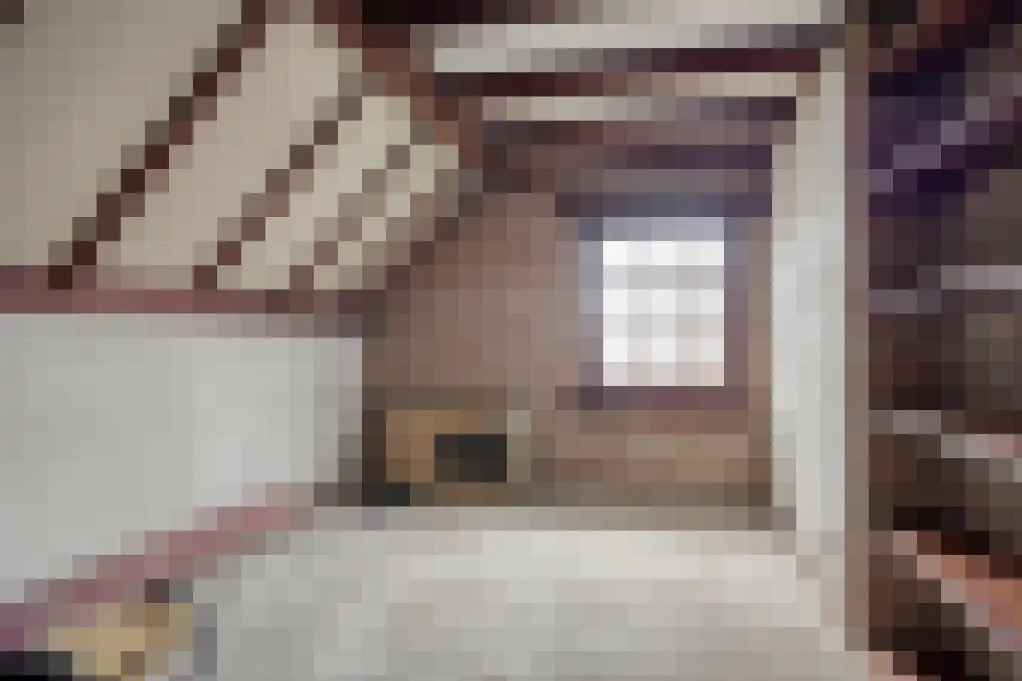 Roskammersteeg 3 Lunteren thumbnail 28
