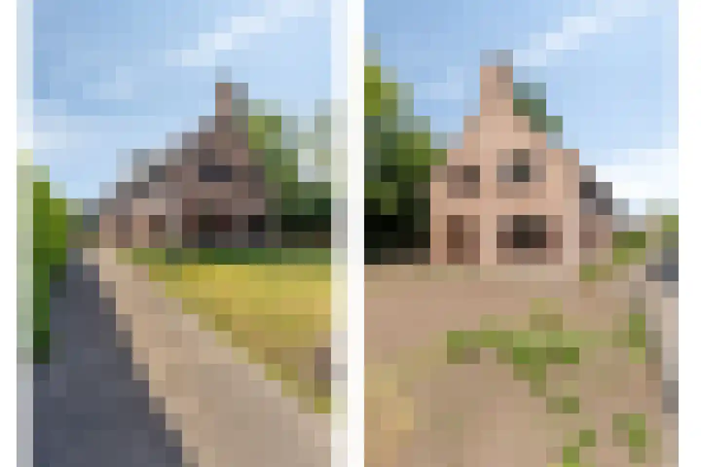 Roskammersteeg 3 Lunteren thumbnail 32