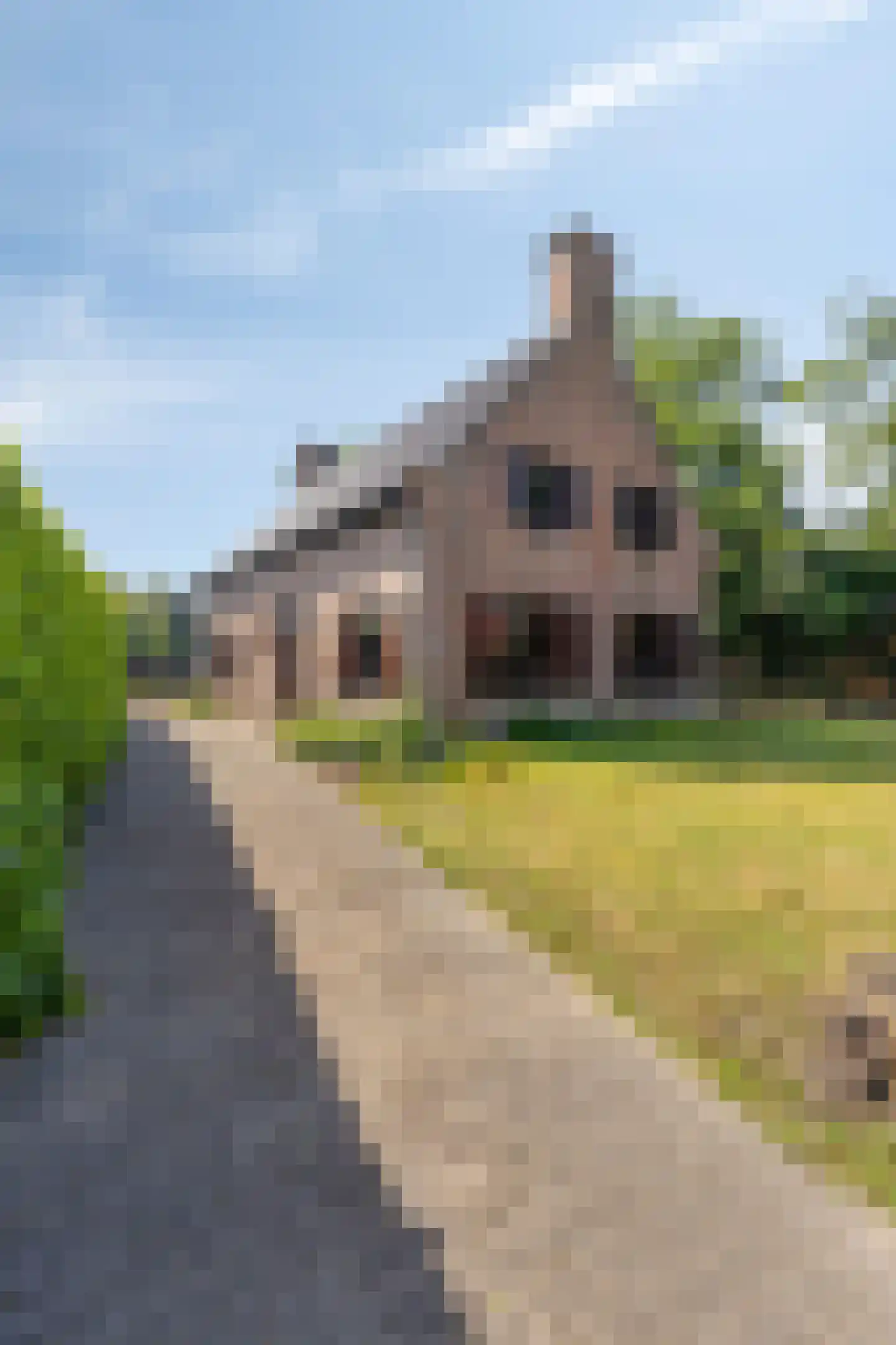 Roskammersteeg 3 Lunteren thumbnail 34