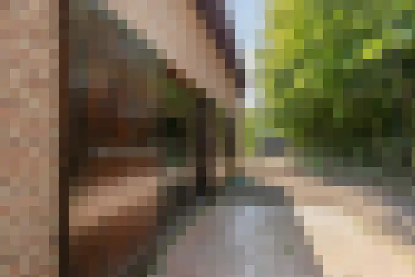 Roskammersteeg 3 Lunteren thumbnail 37